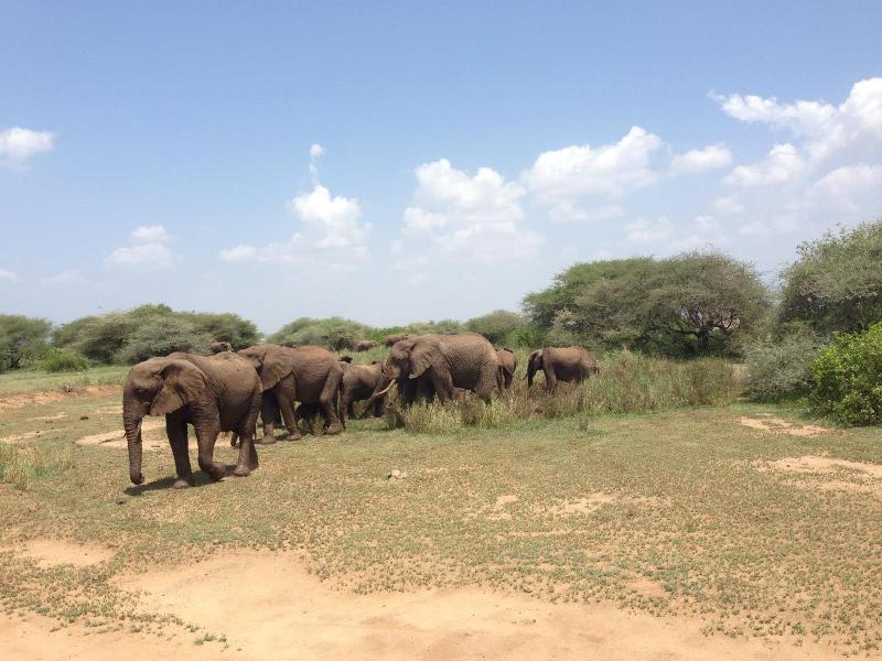 4 Days Tour to Ngorongoro Crater