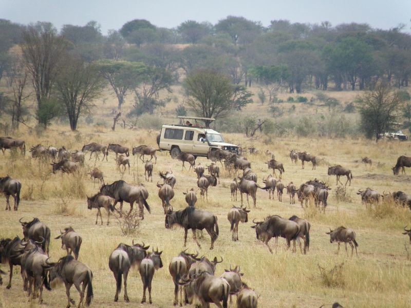 12 Days Tour to Ngorongoro Manyara Zanzibar