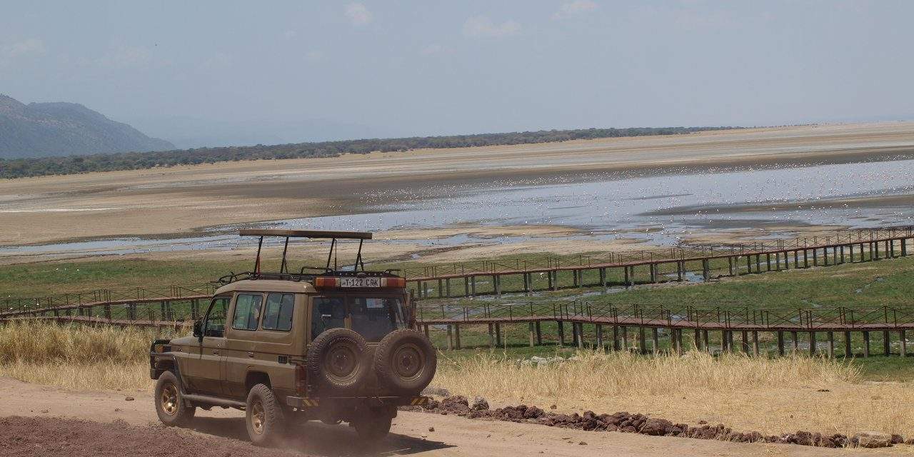 4 Day Chelsea Tour Ngorongoro-Tanzania