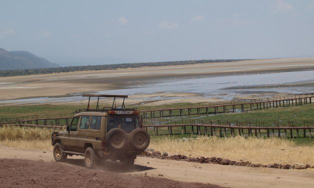 4 Day Chelsea Tour Ngorongoro-Tanzania