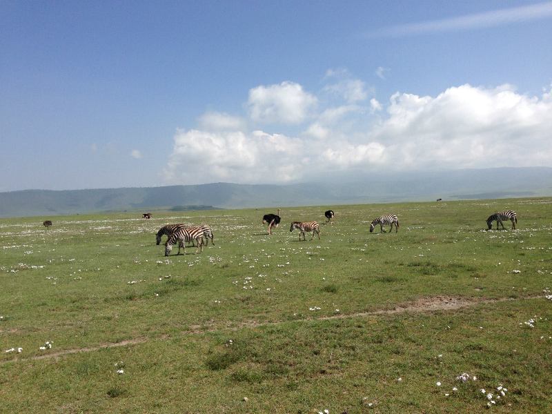 2 Day Tour to Ngorongoro Crater