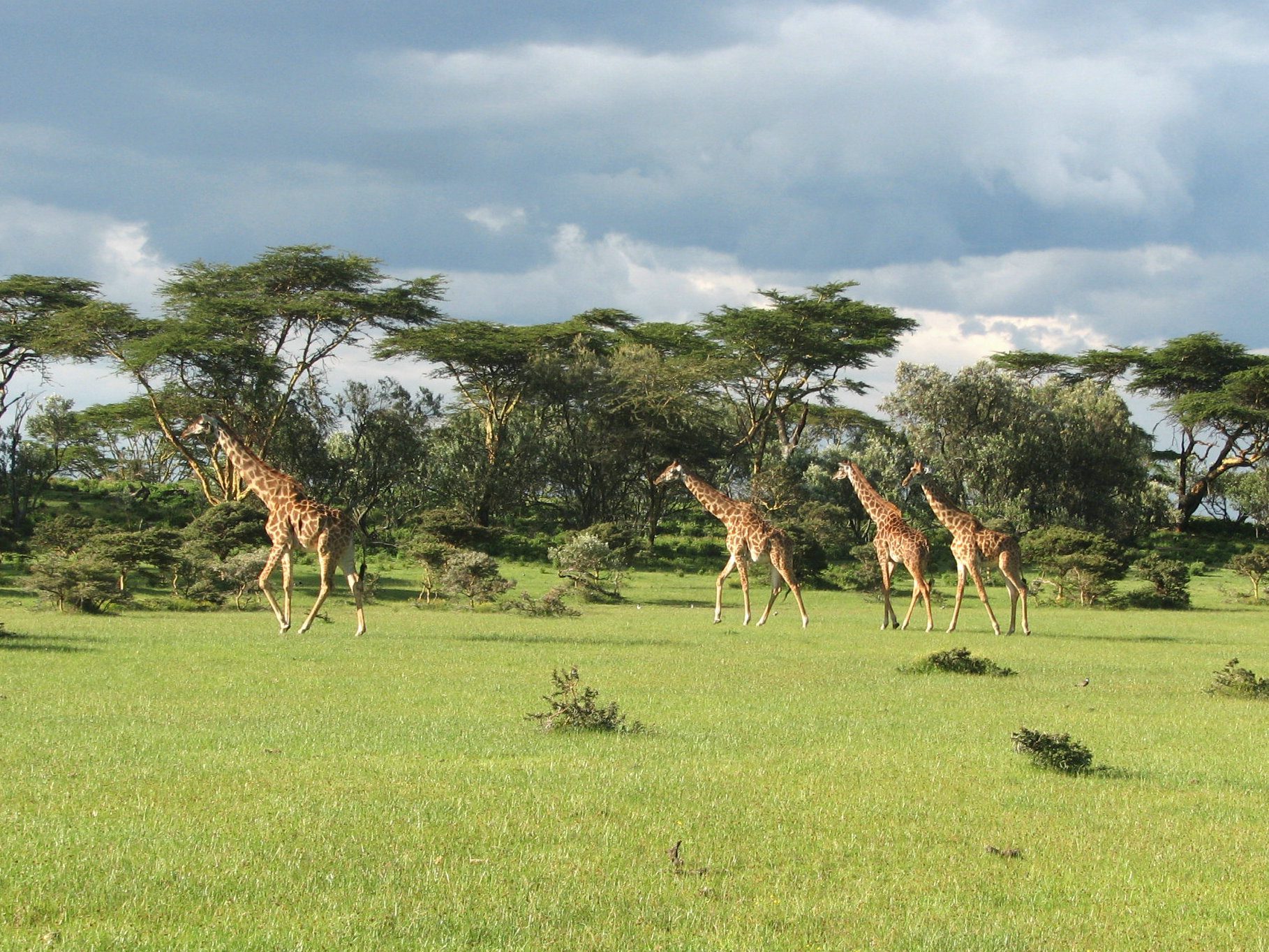 7 Days Tanzania Northern Tour