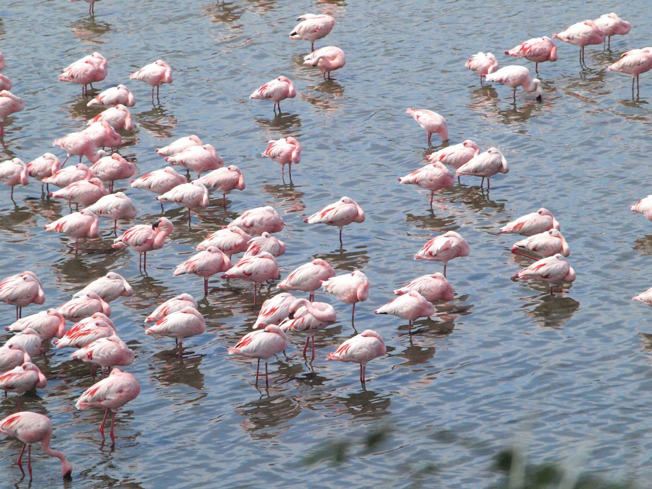 4 Days Tour to Manyara and Ngorongoro Crater