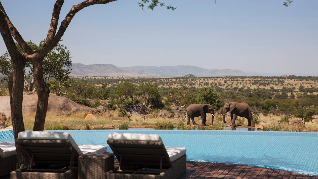 5 Day Standard Lodge Safari Ngorongoro Serengeti