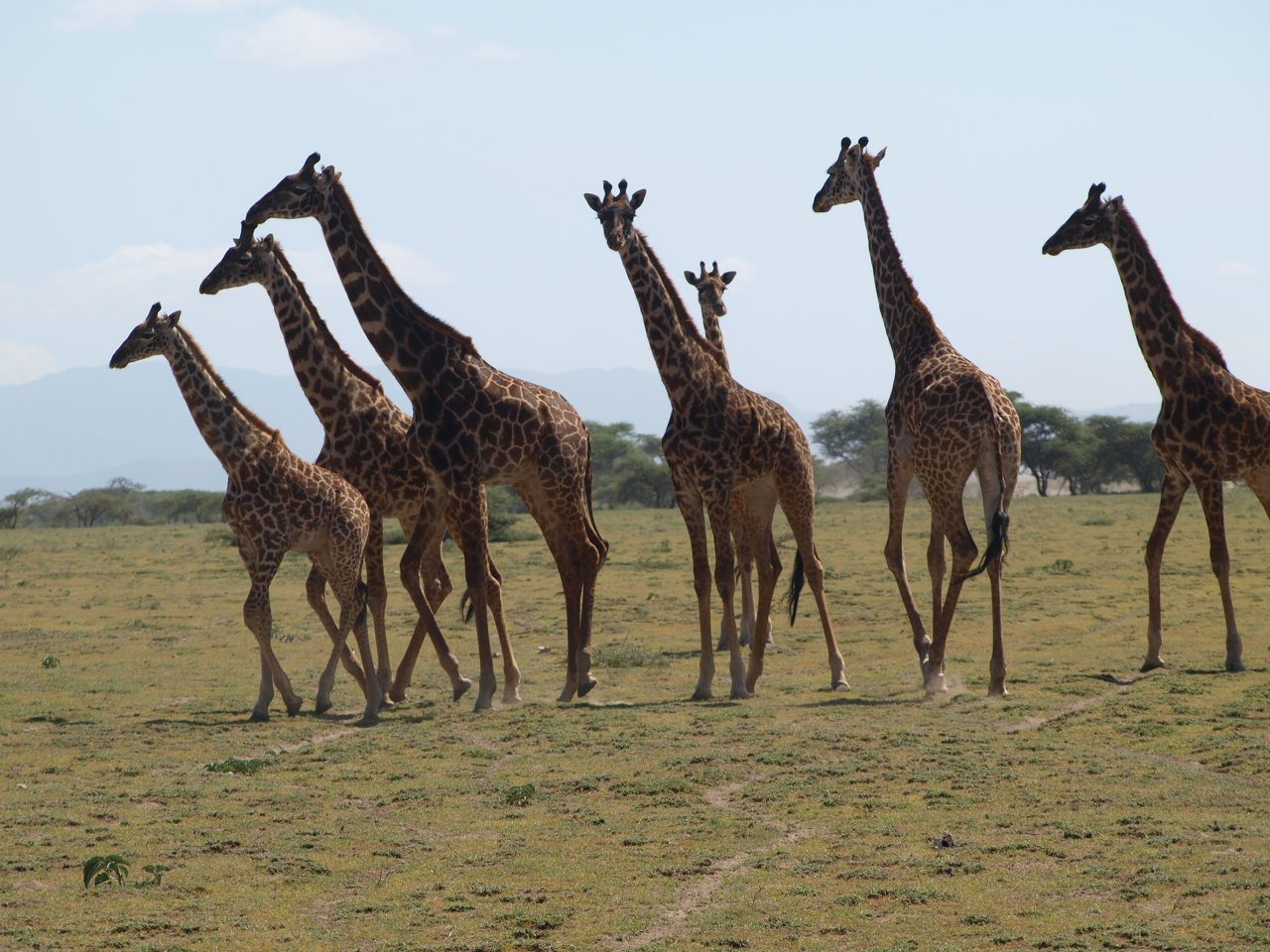 9 Day Tanzania Safari Holiday Package