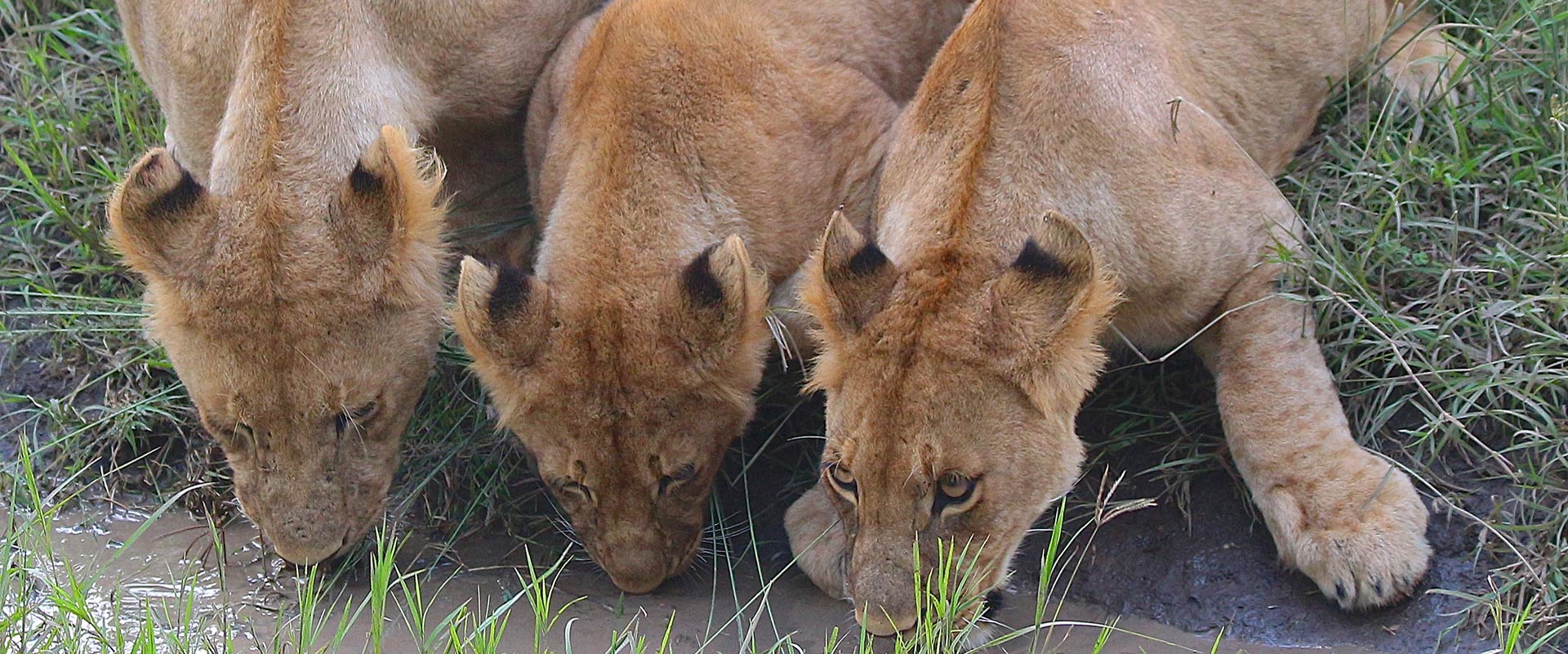 Day Tours Ngorongoro Crater