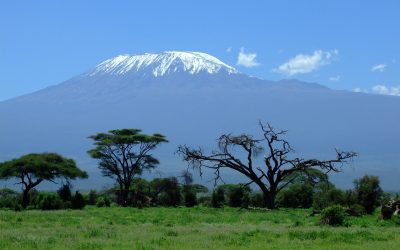 6 Day Machame Route Climb