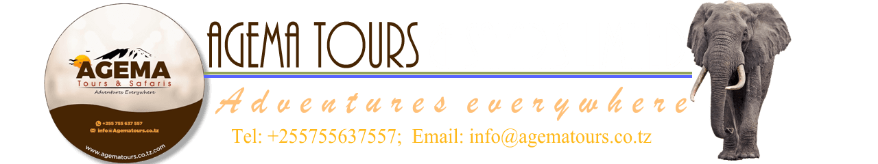 Agema Tours and Safaris Header